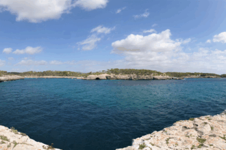 image 29
