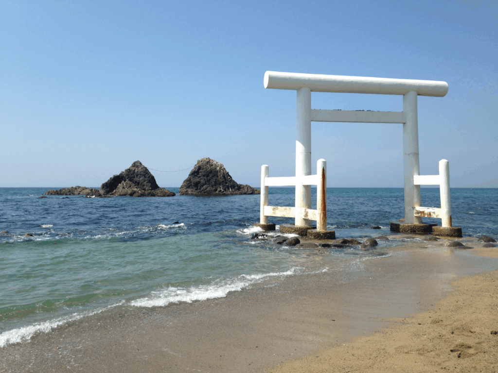 20 Top Dog-Friendly Beaches in Asia for Pets & Owners 3 Torii Beach