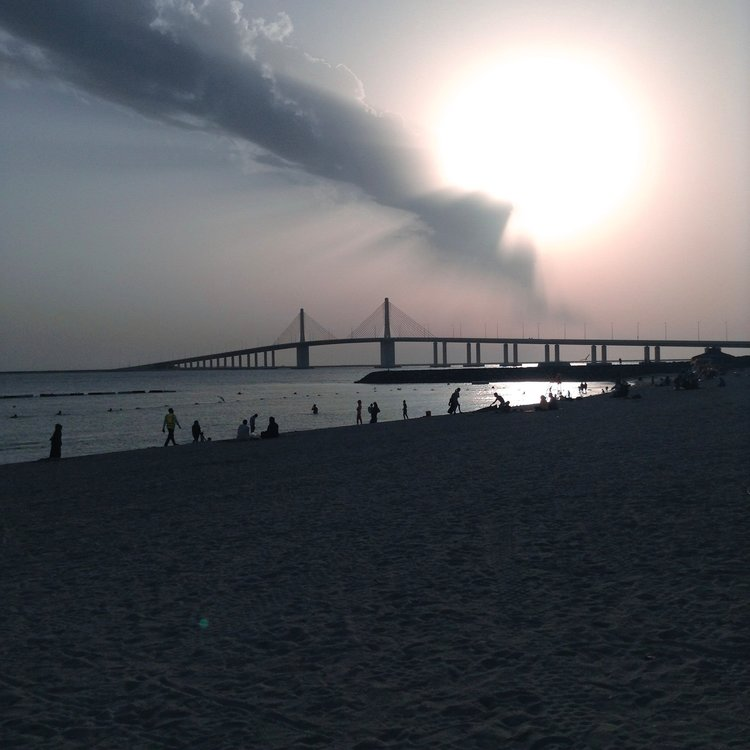 20 Top Dog-Friendly Beaches in Asia for Pets & Owners 4 Al Bateen Open Beach