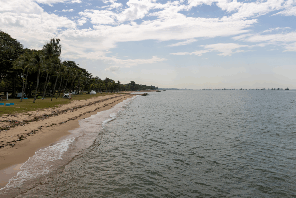 20 Top Dog-Friendly Beaches in Asia for Pets & Owners 6 East Coast Park