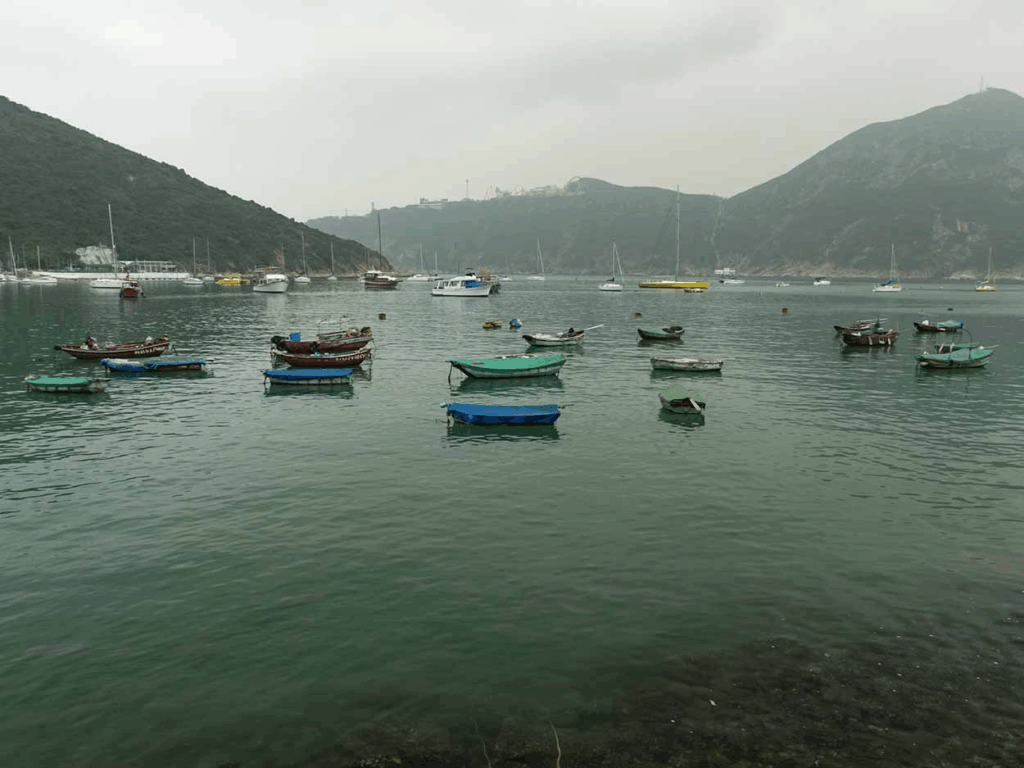 20 Top Dog-Friendly Beaches in Asia for Pets & Owners 7 Shek O Back Beach