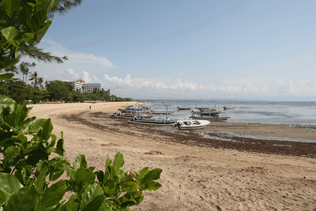 20 Top Dog-Friendly Beaches in Asia for Pets & Owners 16  Sanur Beach