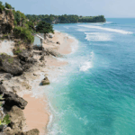 20 Top Dog-Friendly Beaches in Asia for Pets & Owners