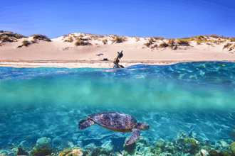 Triplolo: Best Travel Blog & Review Platform 87 image 49