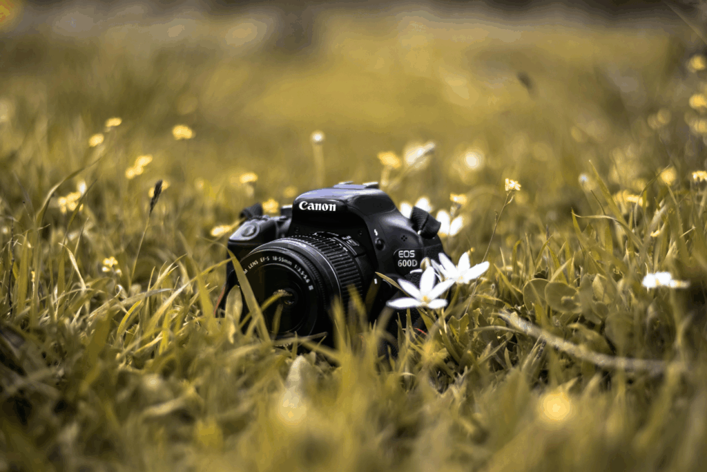 Choose the Right Camera and Lens