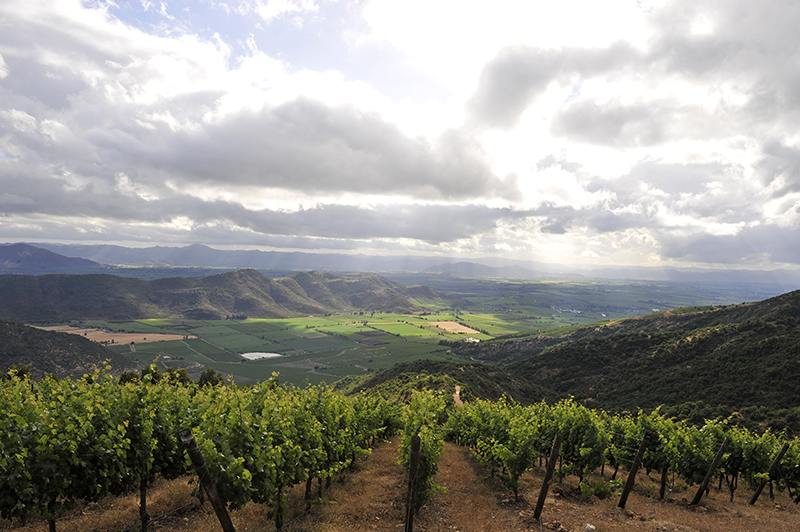 Colchagua Valley, Chile