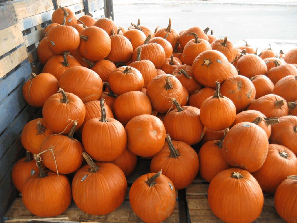 19 Best Foods for Diabetics: Healthy Choices to Control Sugar 7 Pumpkin