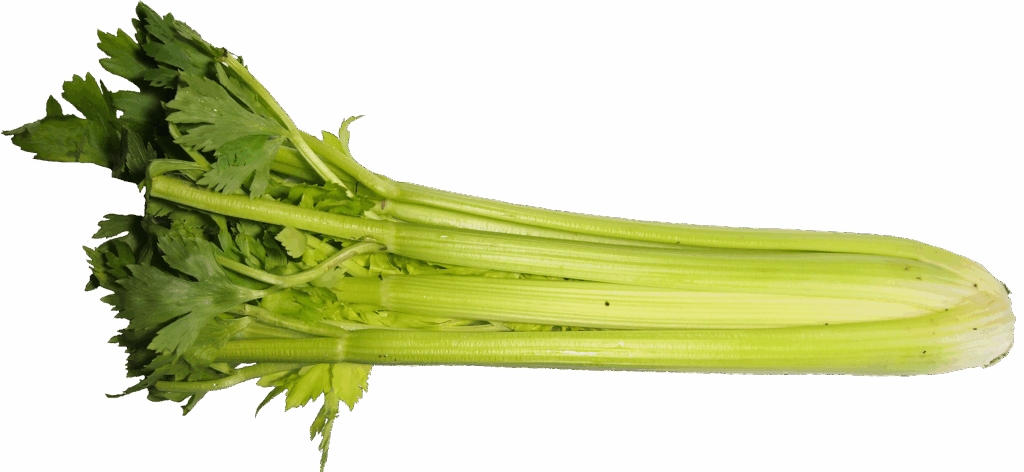 19 Best Foods for Diabetics: Healthy Choices to Control Sugar 10 Celery