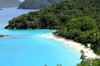 10 Best Beaches In The Caribbean for Sun, Sand & Adventure