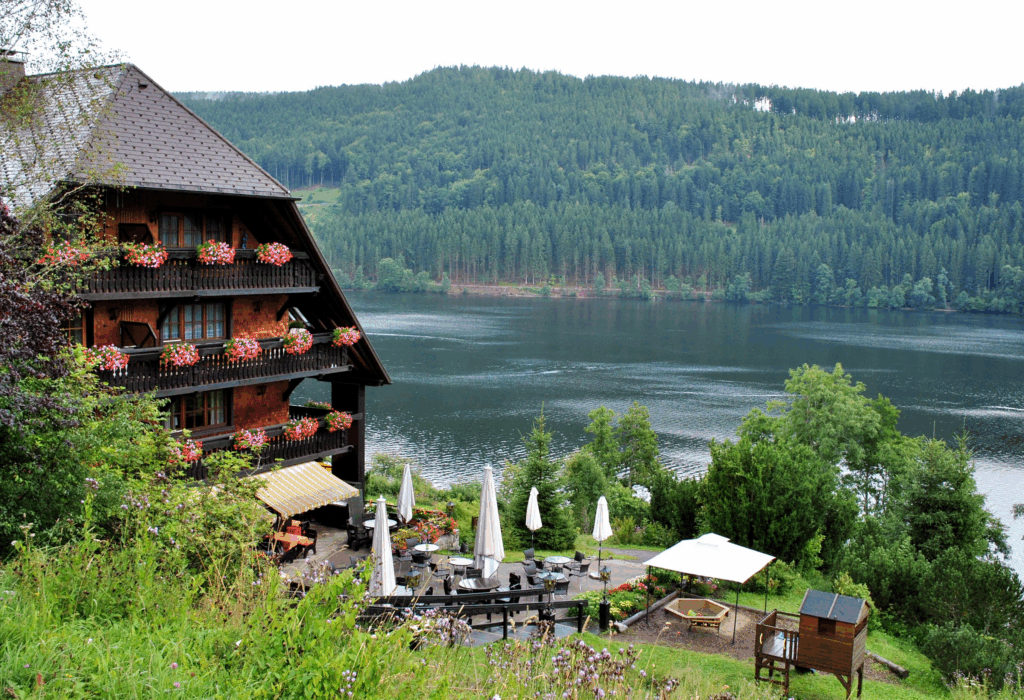 20 Next Adventure In Europe: Top Destinations & Thrilling Trips 19 Black Forest, Germany