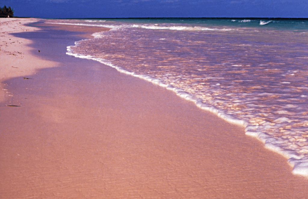 Pink Sands Beach, Bahamas