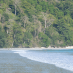 20 Most Beautiful Beaches in the World You Must Visit