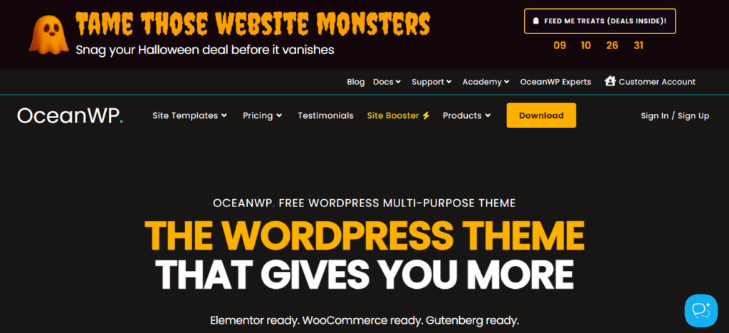 10 Best WordPress Themes for Travel Blogs In 2025 5 OceanWP