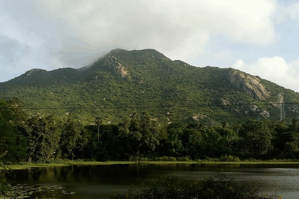 10 Best Places to Visit in Odisha: Temples, Beaches & Nature