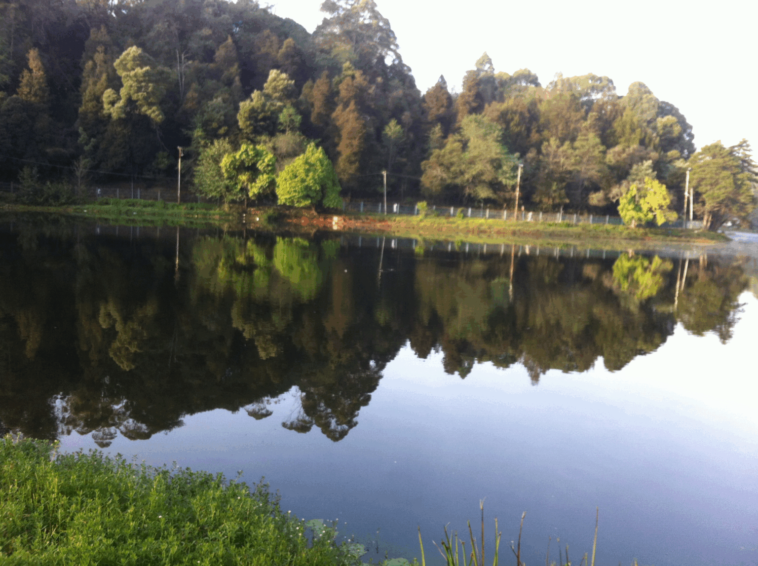 10 Best Budget Family Trip Destinations In India 2025