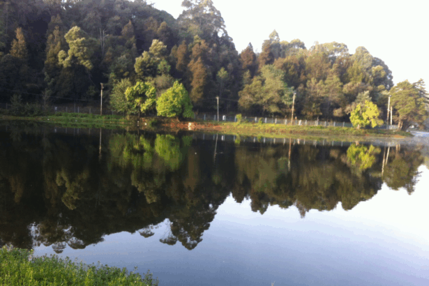 10 Best Budget Family Trip Destinations In India 2025