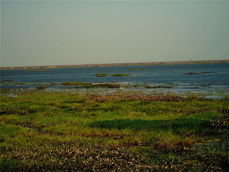 10 Best Offbeat Nature Trip Destinations In Uttar Pradesh 11 Bakhira Bird Sanctuary