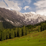 10 Best Bird Watching Destinations in India to Visit