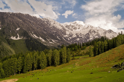 10 Best Bird Watching Destinations in India to Visit