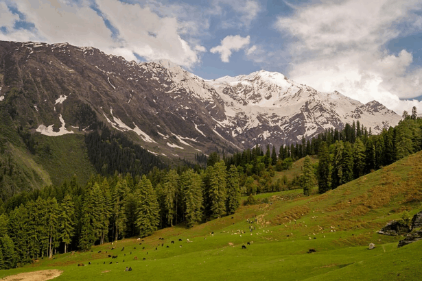 10 Best Bird Watching Destinations in India to Visit