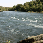 10 Top Water Sports Destinations in India for Adventure Lovers