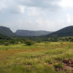 10 Best Nature & Forest Destinations In India for Photography