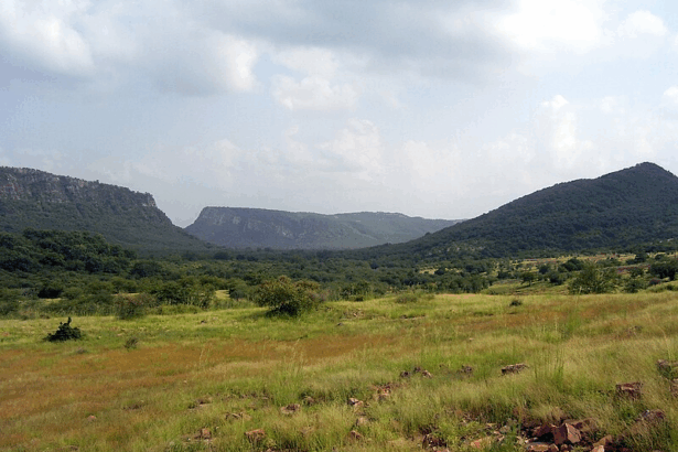 10 Best Nature & Forest Destinations In India for Photography