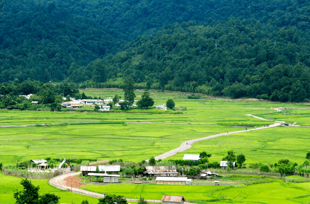 Ziro Valley, Arunachal Pradesh