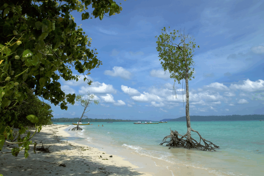 10 Best Lesser-Known Island Destinations In India 9 Swaraj Dweep (Havelock), Andaman