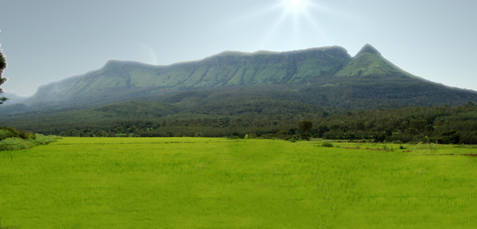 10 Best Weekend Trip Destinations Near Bengaluru for Quick Getaways 4 Chikmagalur