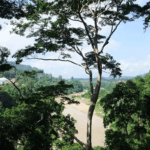 Triplolo: Best Travel Blog & Review Platform 70 image 263