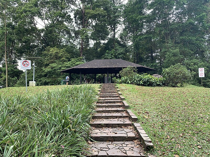 10 Best Tropical Rainforest Trip Destinations In Asia 2025 7 Bukit Timah Nature Reserve, Singapore