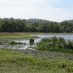 10 Best Tropical Rainforest Trip Destinations In Asia 2025