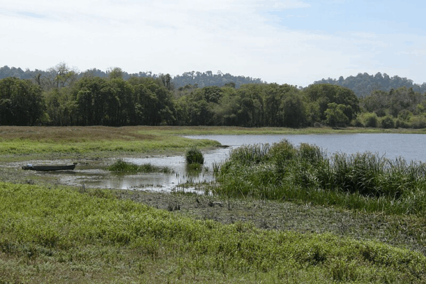 10 Best Tropical Rainforest Trip Destinations In Asia 2025