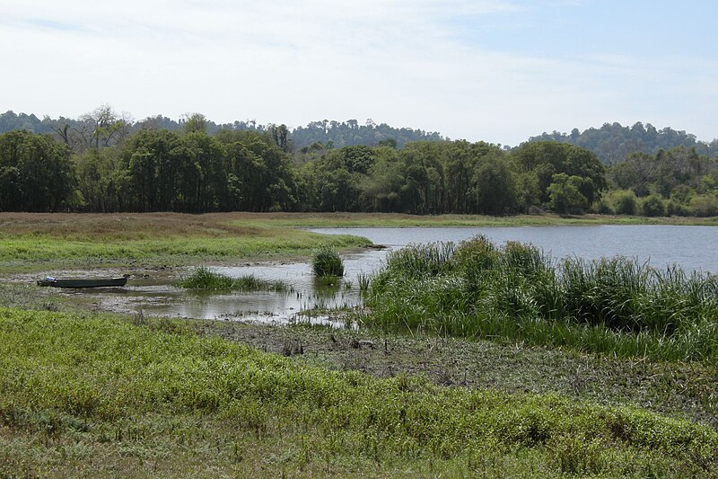 10 Best Tropical Rainforest Trip Destinations In Asia 2025 9 Cat Tien National Park, Vietnam