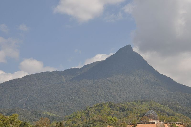 10 Best Tropical Rainforest Trip Destinations In Asia 2025 11 Hainan Tropical Rainforest, China