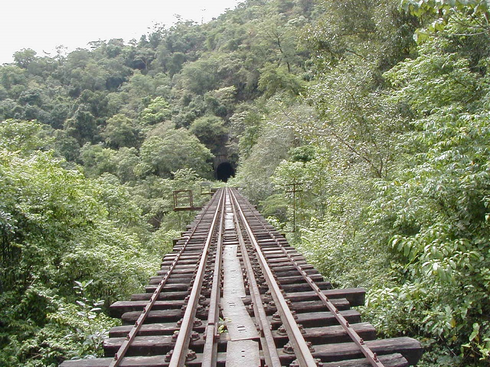 10 Best Weekend Trip Destinations Near Bengaluru for Quick Getaways 8 Sakleshpur