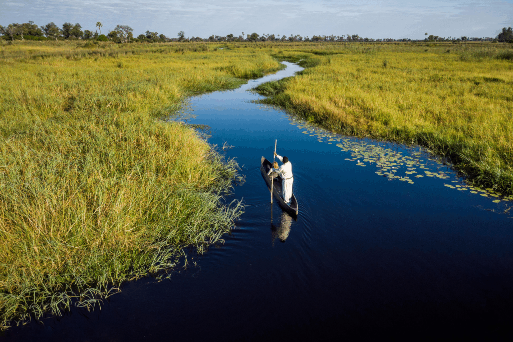 10 Best Adventure Wildlife Trip Packages from India to Africa 7 Botswana Okavango Delta Safari