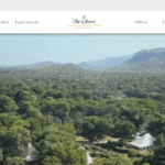 Triplolo: Best Travel Blog & Review Platform 74 image 332