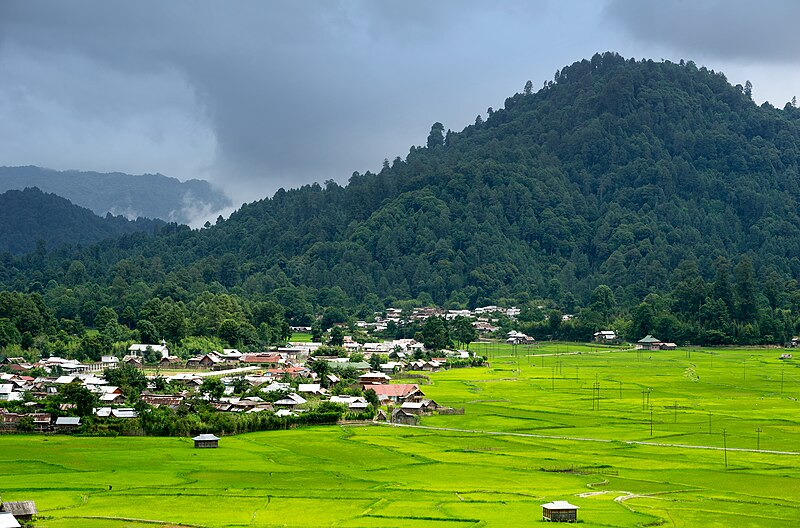 10 Best Digital Detox Trip Destinations To Visit In India 2 Ziro Valley, Arunachal Pradesh