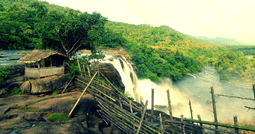 Kerala (Munnar & Wayanad)