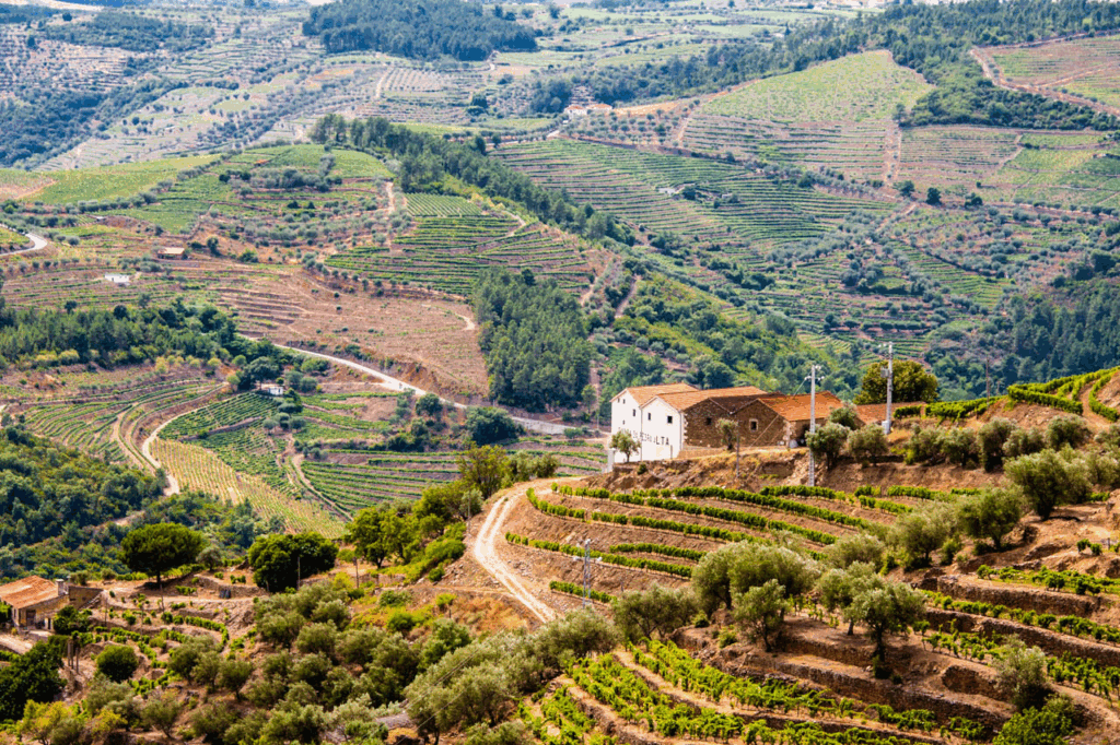 10 Best Wine Regions in Europe for Wine Lovers 6 Douro Valley, Portugal