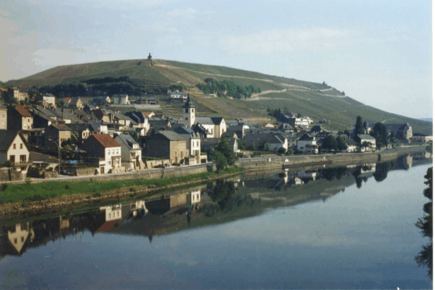 10 Best Street Food Markets in Europe You Must Visit
