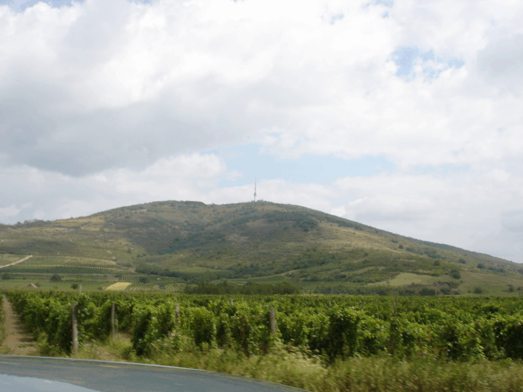 10 Best Wine Regions in Europe for Wine Lovers 11 Tokaj, Hungary
