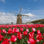 10 Best Festivals In Europe – Top Cultural & Music Events