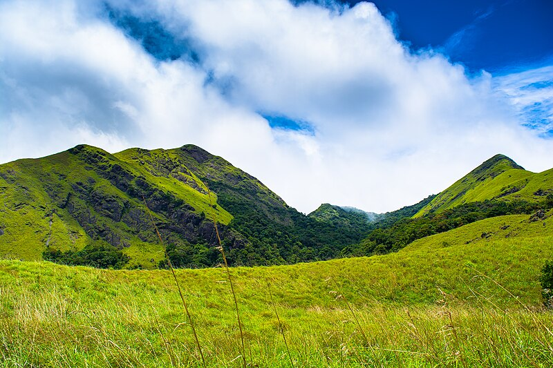 20 Best Hill Stations Near Bangalore for Weekend Getaways 4 Wayanad