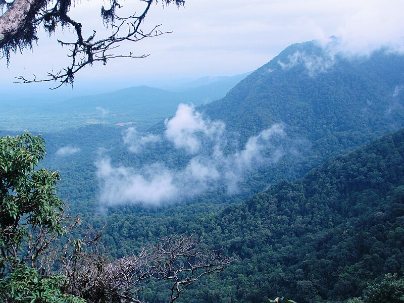 20 Best Hill Stations Near Bangalore for Weekend Getaways 11 Agumbe