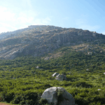 20 Best Hill Stations Near Bangalore for Weekend Getaways