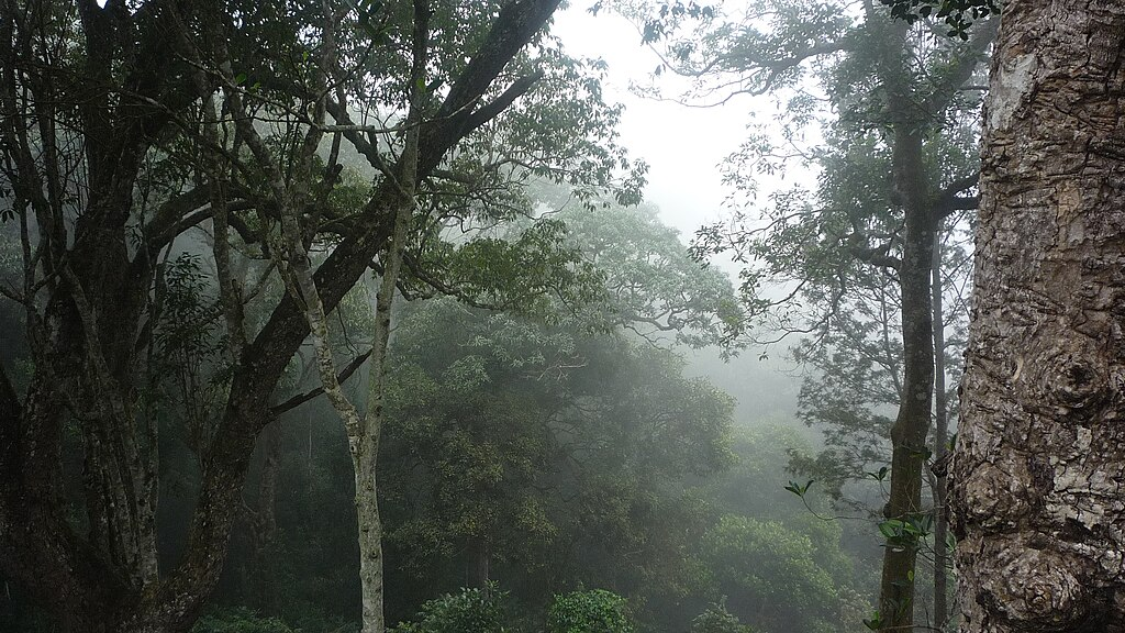 20 Best Hill Stations Near Bangalore for Weekend Getaways 21 Kolli Hills