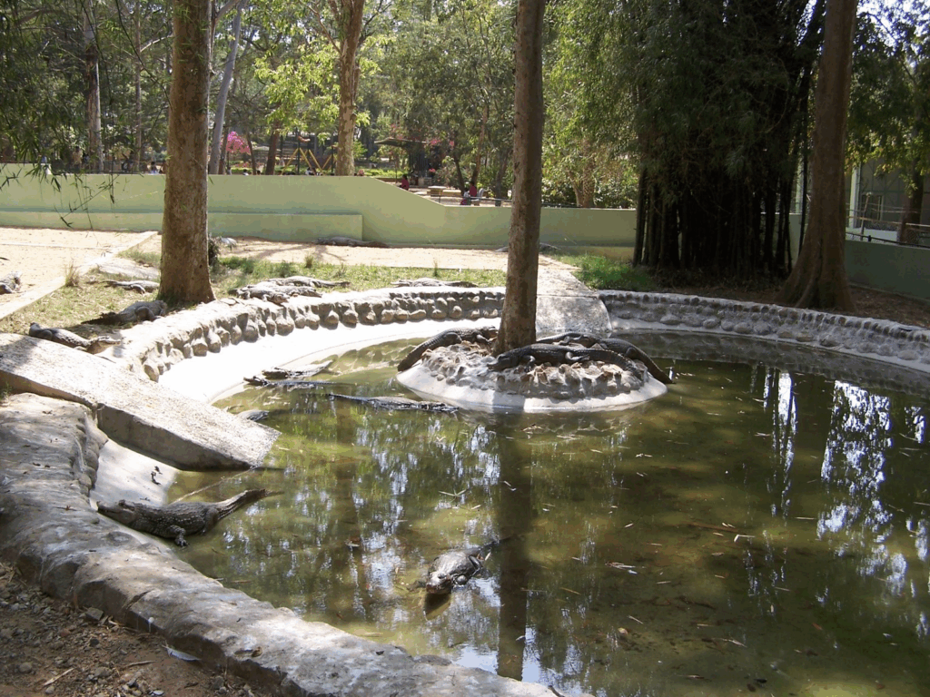 Bannerghatta National Park